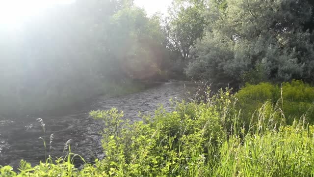 Montana stream