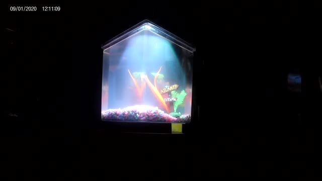 The mediation area presents: More fish tank ambient ( 1 gal triangle tank)