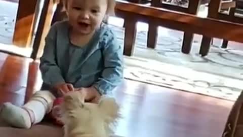 unny video Funny video baby girl and the dog #shorts​