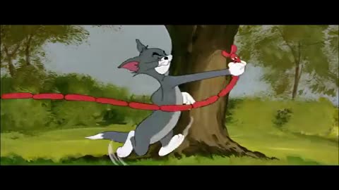 Tom & Jerry