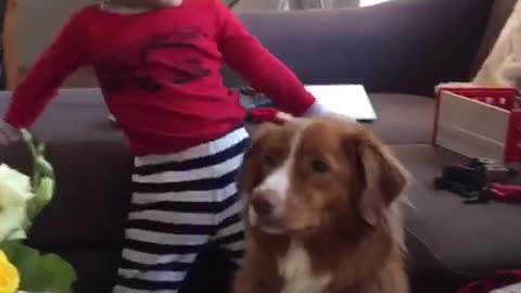 Pup is not impressed with new baby