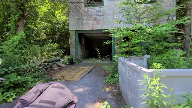 Abandoned house I found with whitey the hellcougar. in patterson, NY