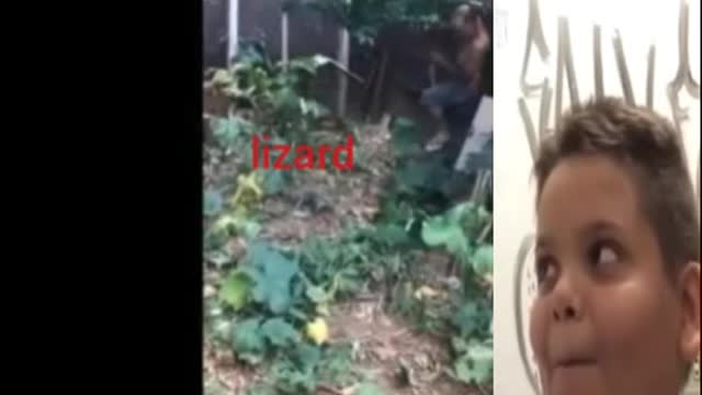 die of laughter! man vs lizard