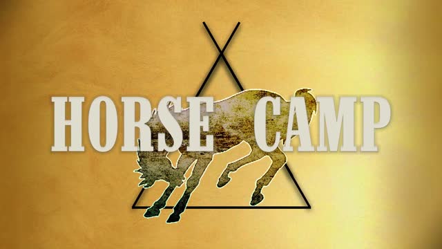 Horse Camp: Moon and Stableboy