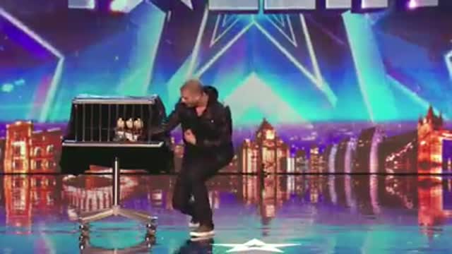 Darcy Oake's jaw-dropping dove illusions | Britain's Got Talent 2014