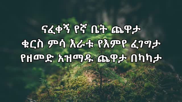 ጅጋየሁ ሽባባው ጂጂ - ናፈቀኝ Ejigayehu Shibabaw- Nafekegn Ethiopian music (Lyrics Video)