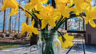 Happy Spring- The Week In Pictures