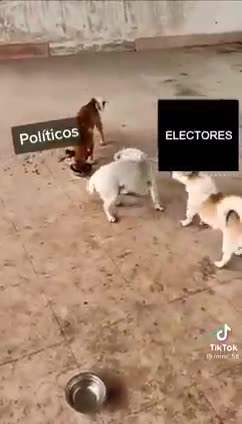 TRA I DUE LITIGANTI...IL TERZO GODE