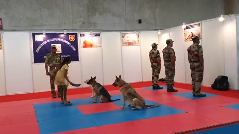 CISF DEMONSTRATION OF DOG SQUAD