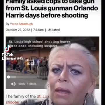 Why didn't the officers take the gun