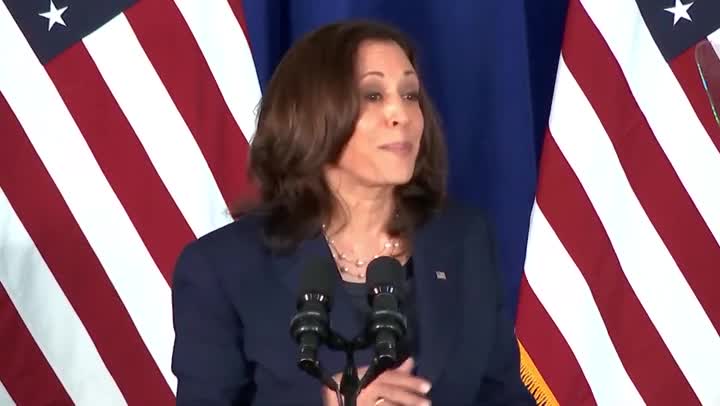 Vice President Kamala Harris: 'Republicans Don't Want You to Vote'