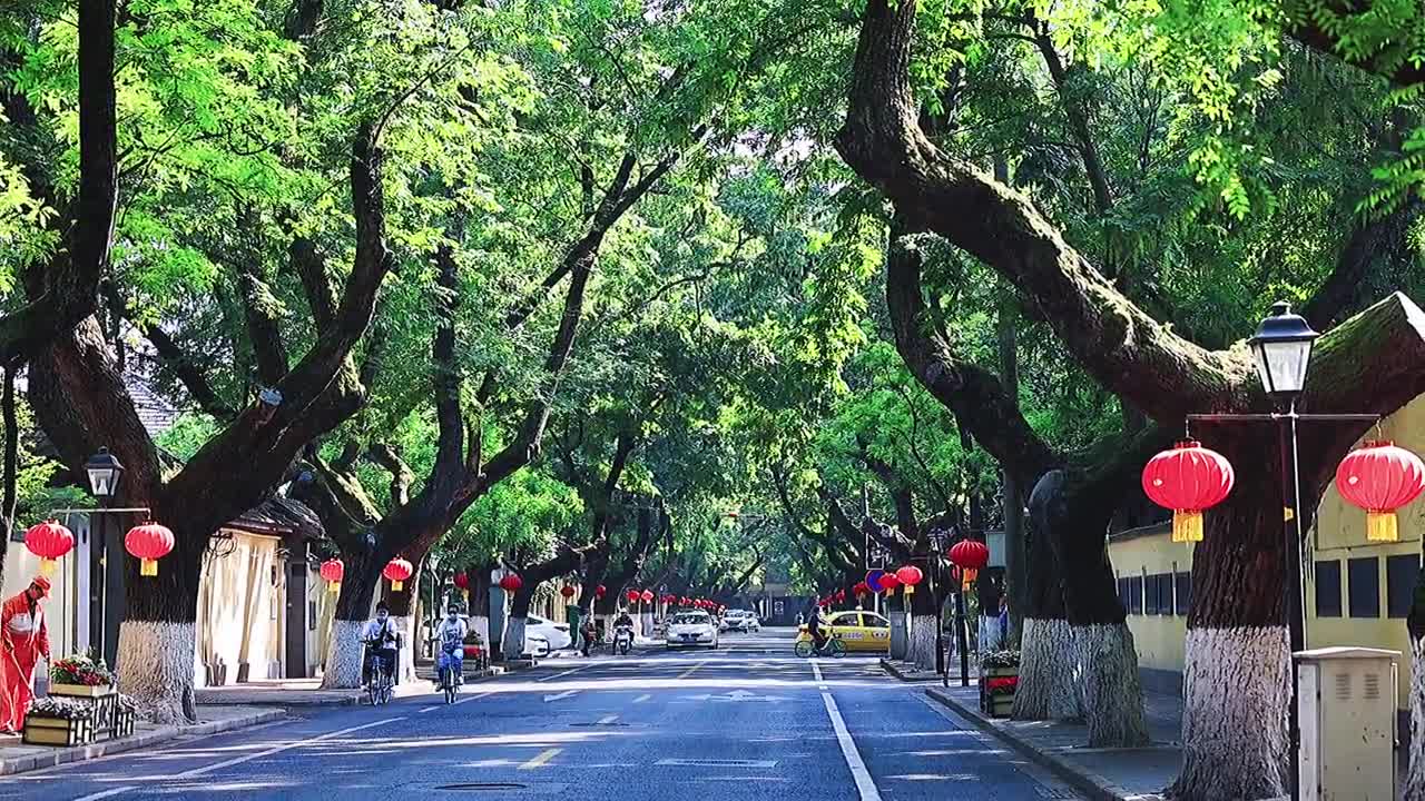 Don't sigh. There are trees everywhere
