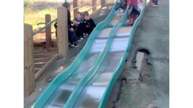 Dog having fun like a kid .This dog knows proper slide etiquette 😂🥺...