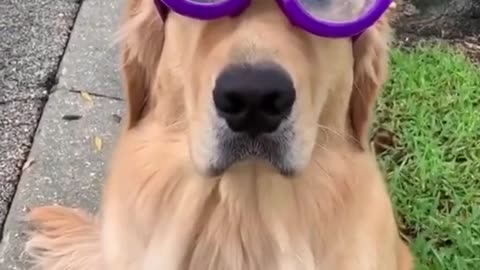 Got my Ray-Bans on and I'm feeling hella cool today