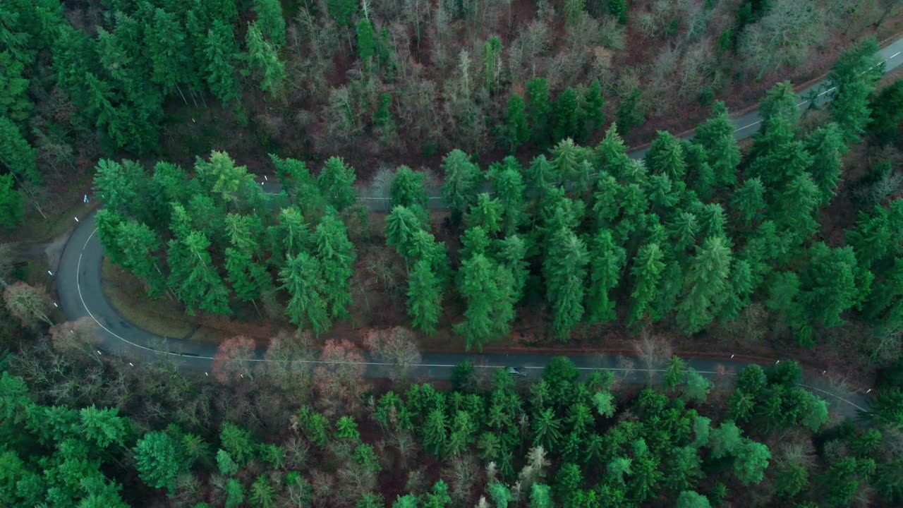 Beautiful Nature 2