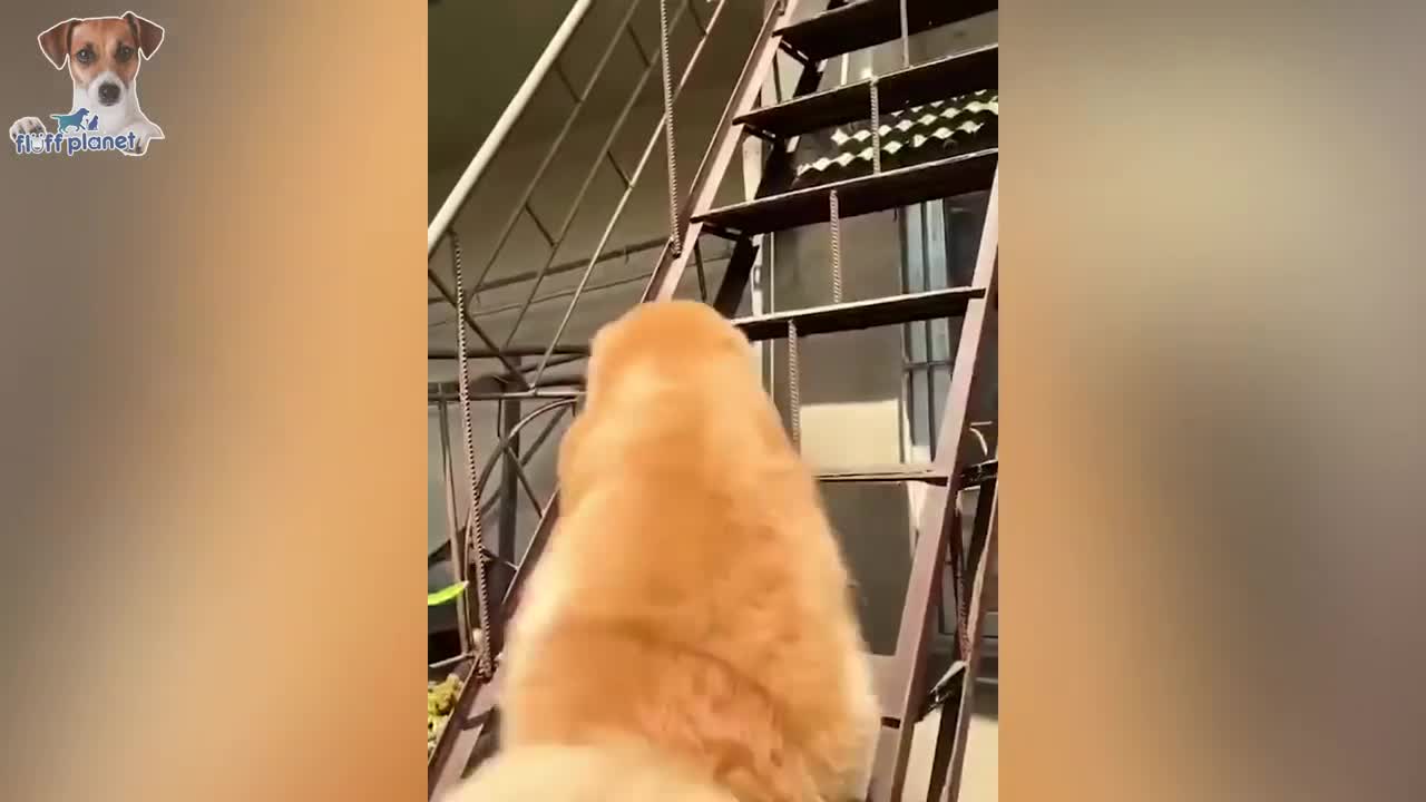 watch and enjoy this video