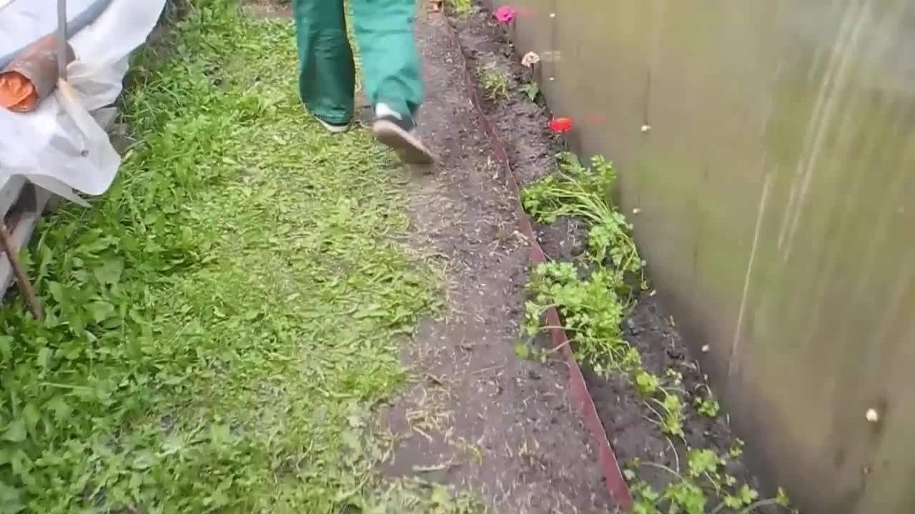 This little guy is a real mushroom picker