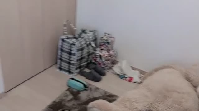 japanese style small room