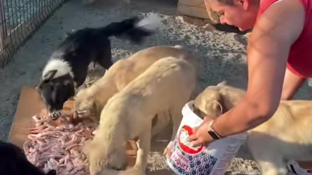 Öyle zor ki kışın syrı zor yazın ayrı zor 😔