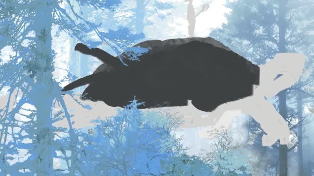 Draw a turtle with procreate, cute and adorable. Step two.
