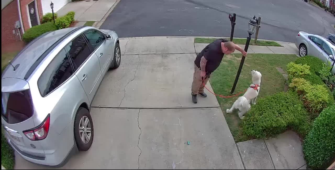 Man Gets Hurt After Slipping on Chalk in Driveway While Taking His Dog on Walk