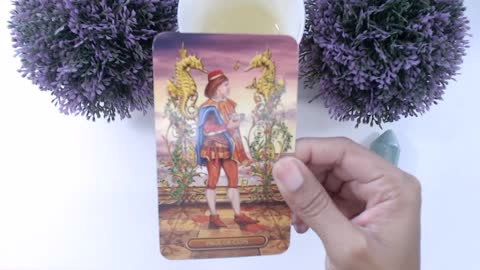 What Will Your Next First Date Be Like? (Pick a Card Tarot)