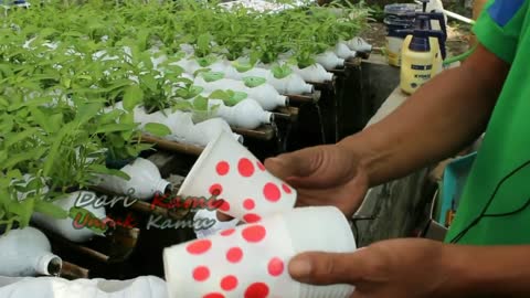 CHEAP AQUAPONICS FROM USED BOTTLES