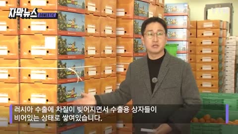 [자막뉴스] 러시아 전쟁 폭격...'제주 귤' 왜 초토화 되었나 _ YTN