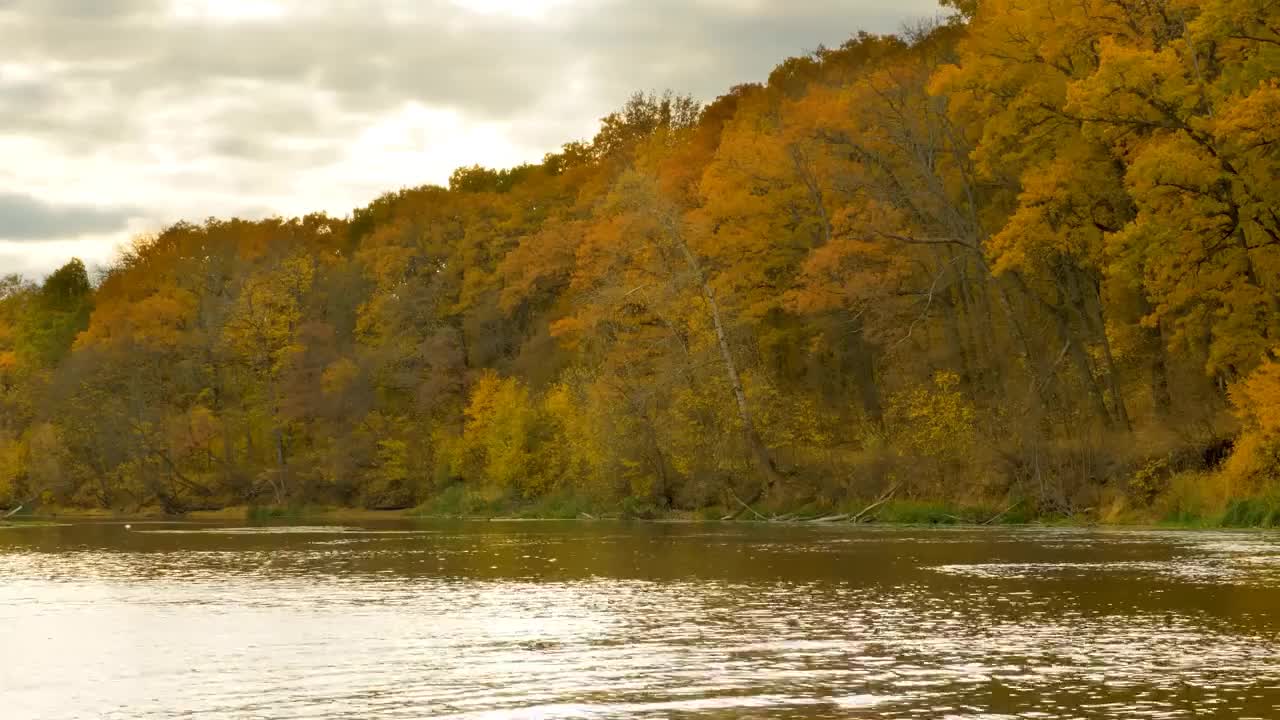 Enchanting Autumn Forests with Beautiful Piano Music