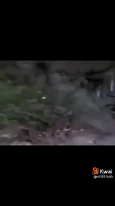 VIDEO CONFIRMS EXTRATERRESTRIAL LIFE