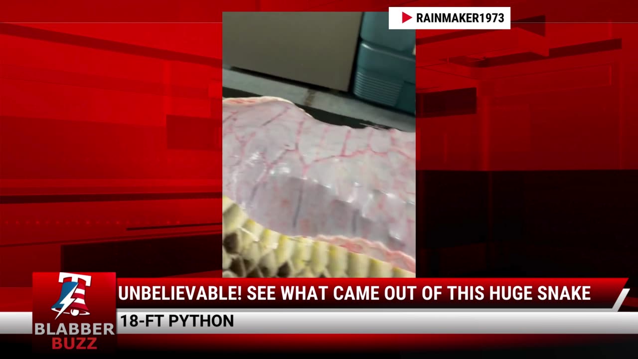 Unbelievable! See What Came Out Of This Huge Snake