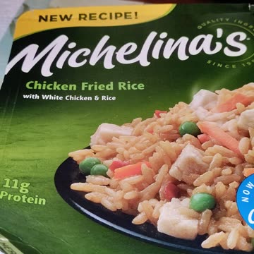Eating Michelina's Chicken Fried Rice, Dbn, MI, 9/20/23