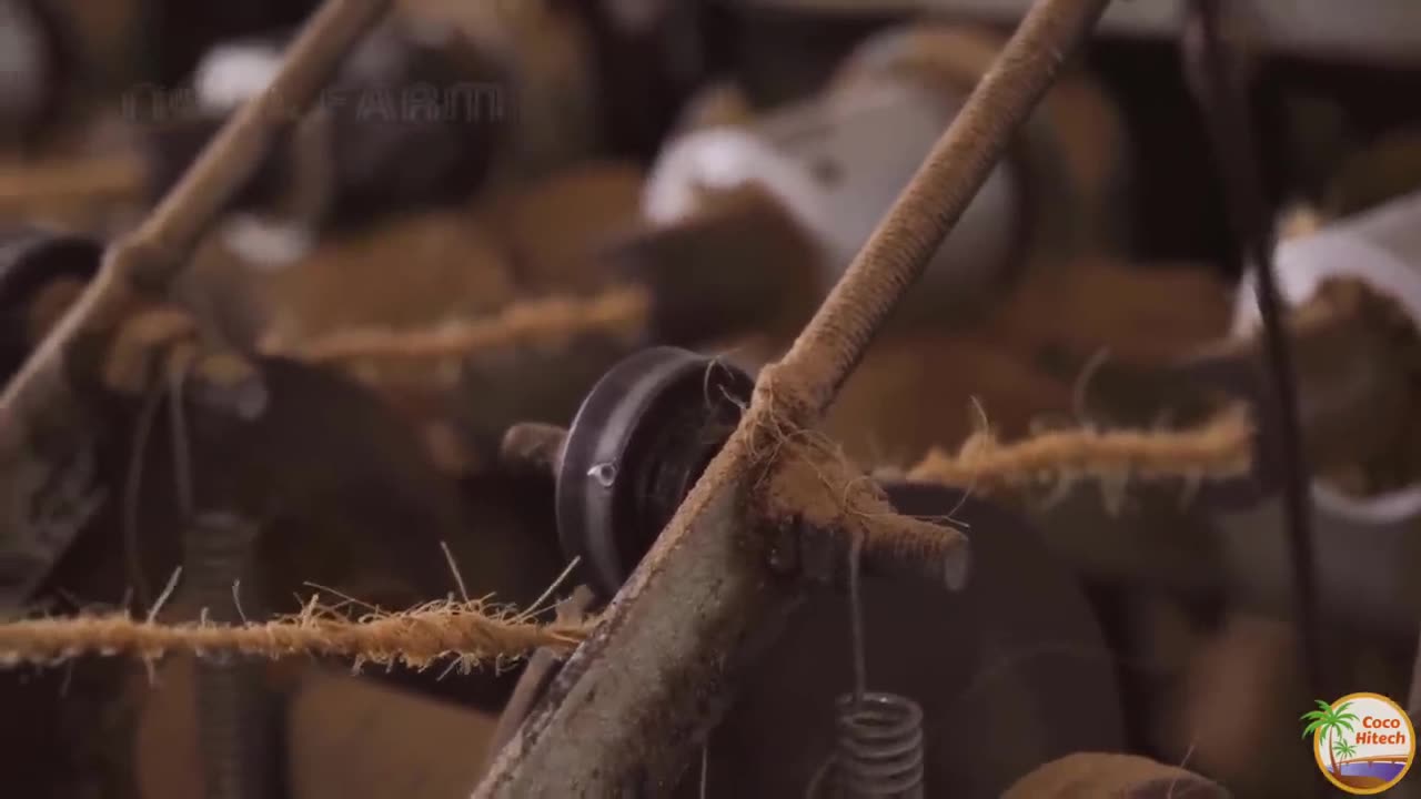 "From Coconuts to Millions: Coir, Cocopeat, Coconut Cream, and Coconut Flour Factory Production"