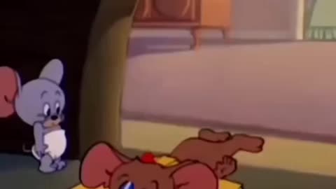 Tom and Jerry funny video