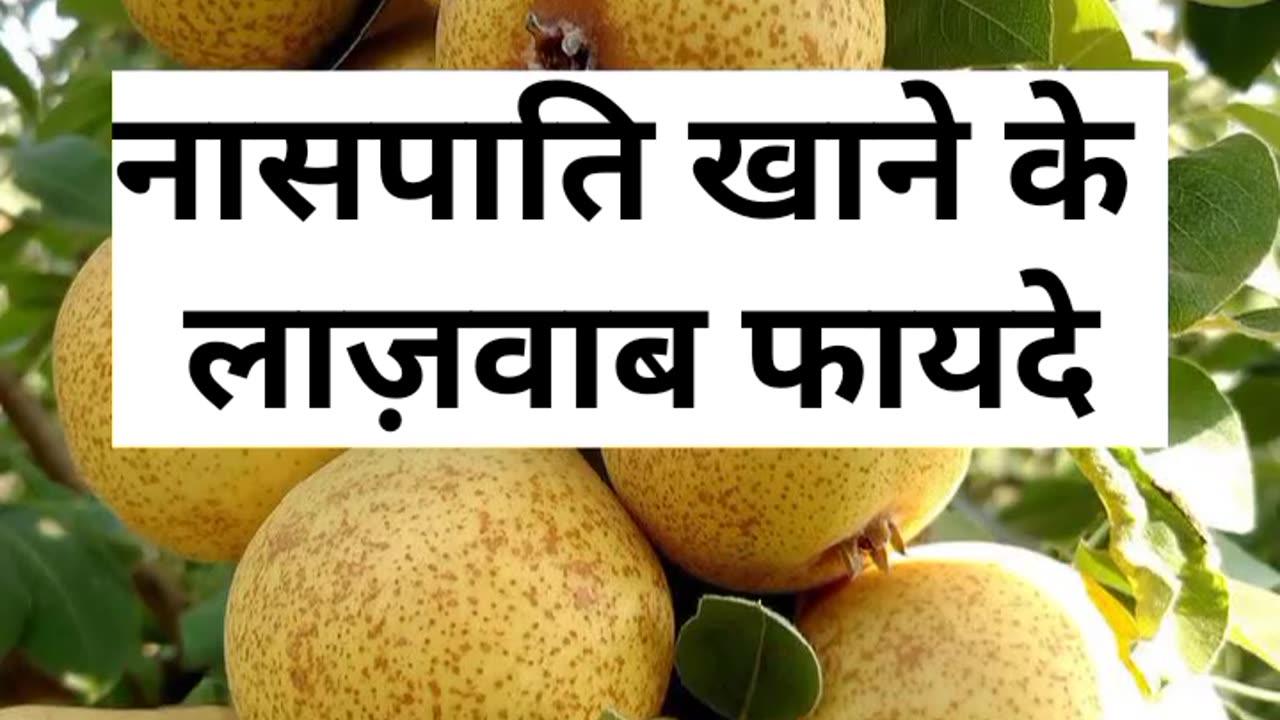 NAASPATI KHANE KE LAJAWAB FAYDE #like #viral #benefits #trending #follow