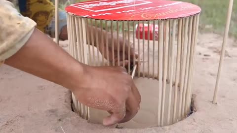 Amazing brain used to catch the bird