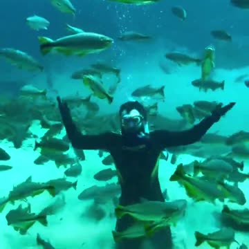 We are sure you will never forget this experience! 💙🐠