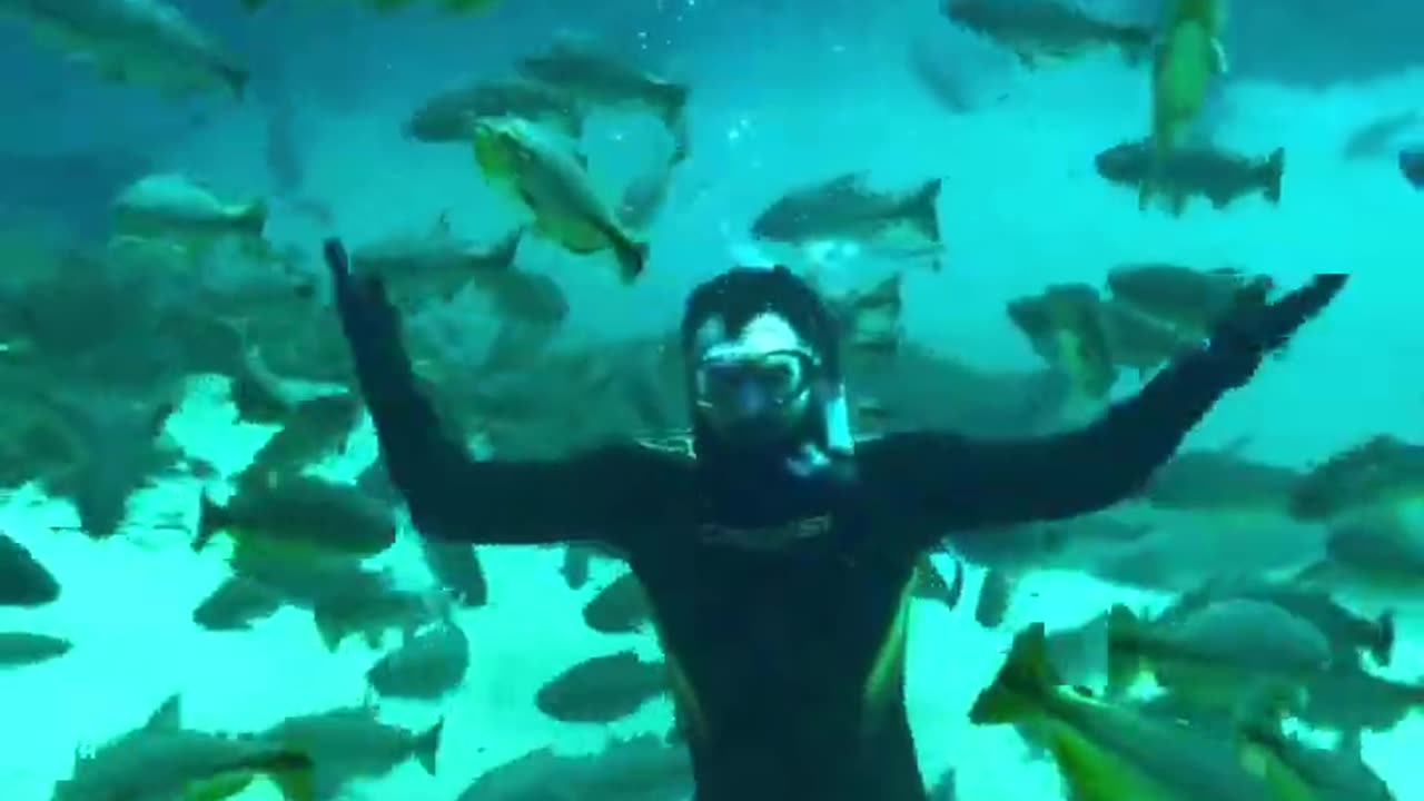 We are sure you will never forget this experience! 💙🐠