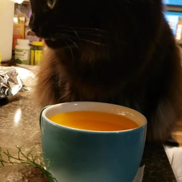 Tang kitty Bessie