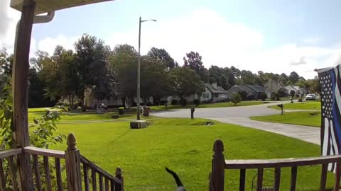 Owner Clings to Rambunctious Dog Down Deck