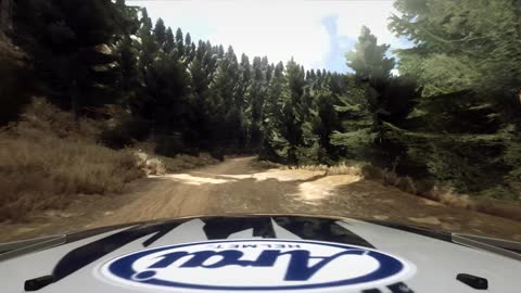 DIRT RALLY 2.0