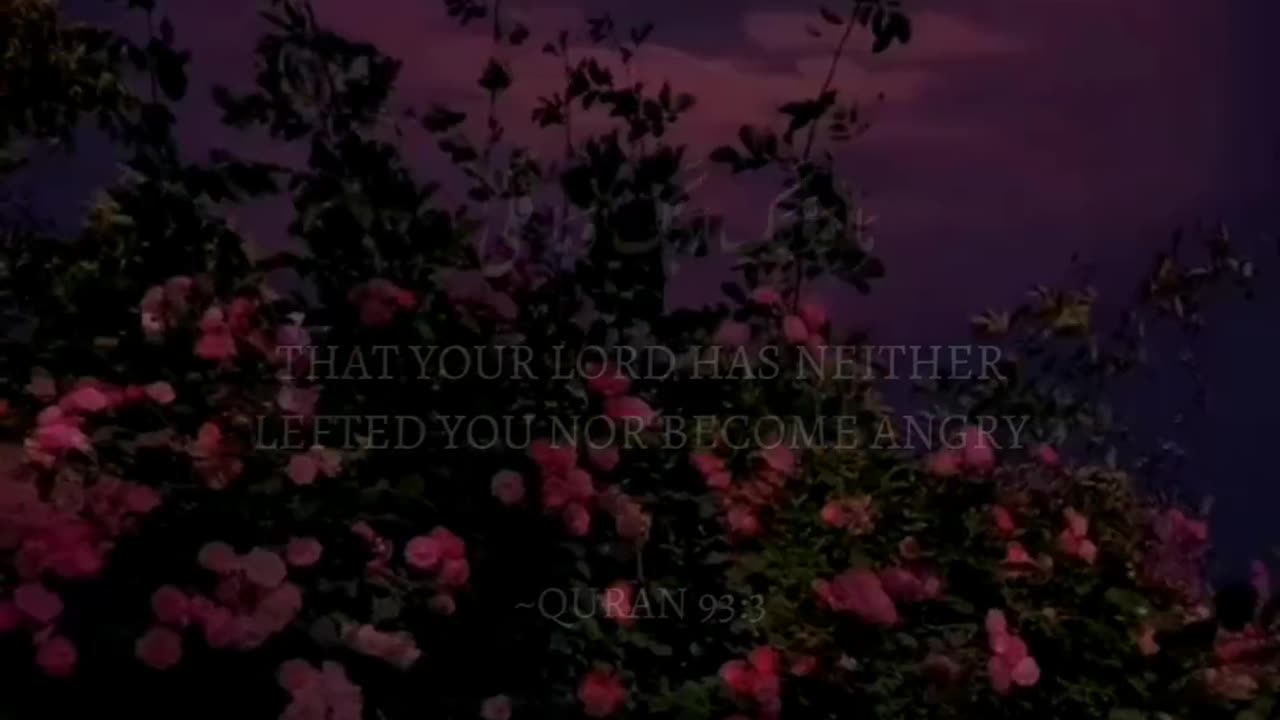 Quran😭❤️✨