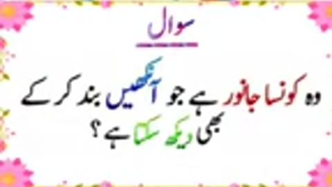Pehliyaan in Urdu with the answer amazing facts