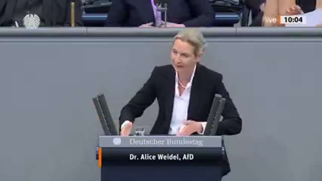 Nach einem Jahr Ampelregierung..... Alice Weidel fasst zusammen 👍