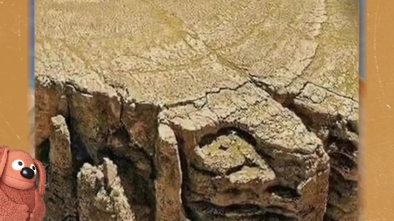 Ancient Tree Stumps or Mountains? 🌲⛰️