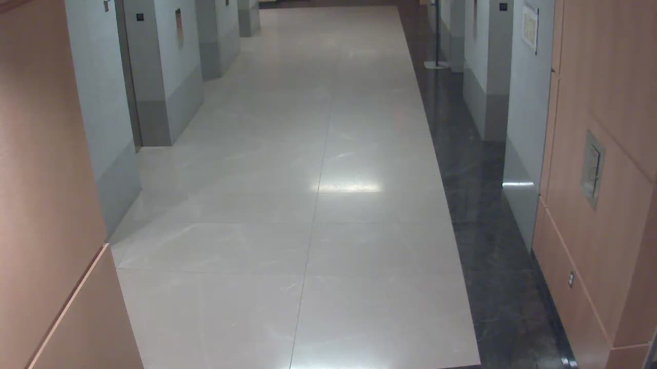 8488OHOB01ElevatorLobby_2021-01-05_02h20min00s727ms.mp4