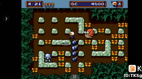 Mega Bomberman