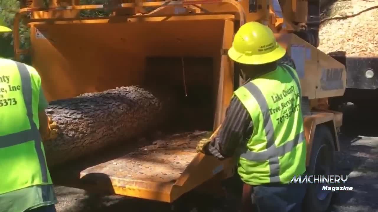 Extreme Fast Wood Chipper Machine Modern Technology - Amazing Wood Processor Big Tree Shredder Easy