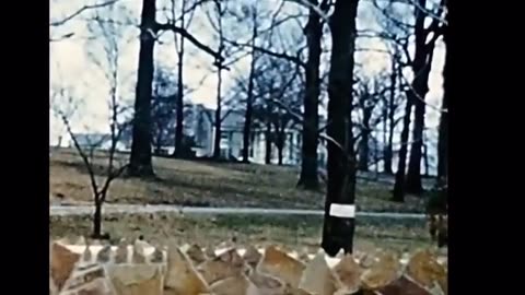 Elvis Presley Home Videos