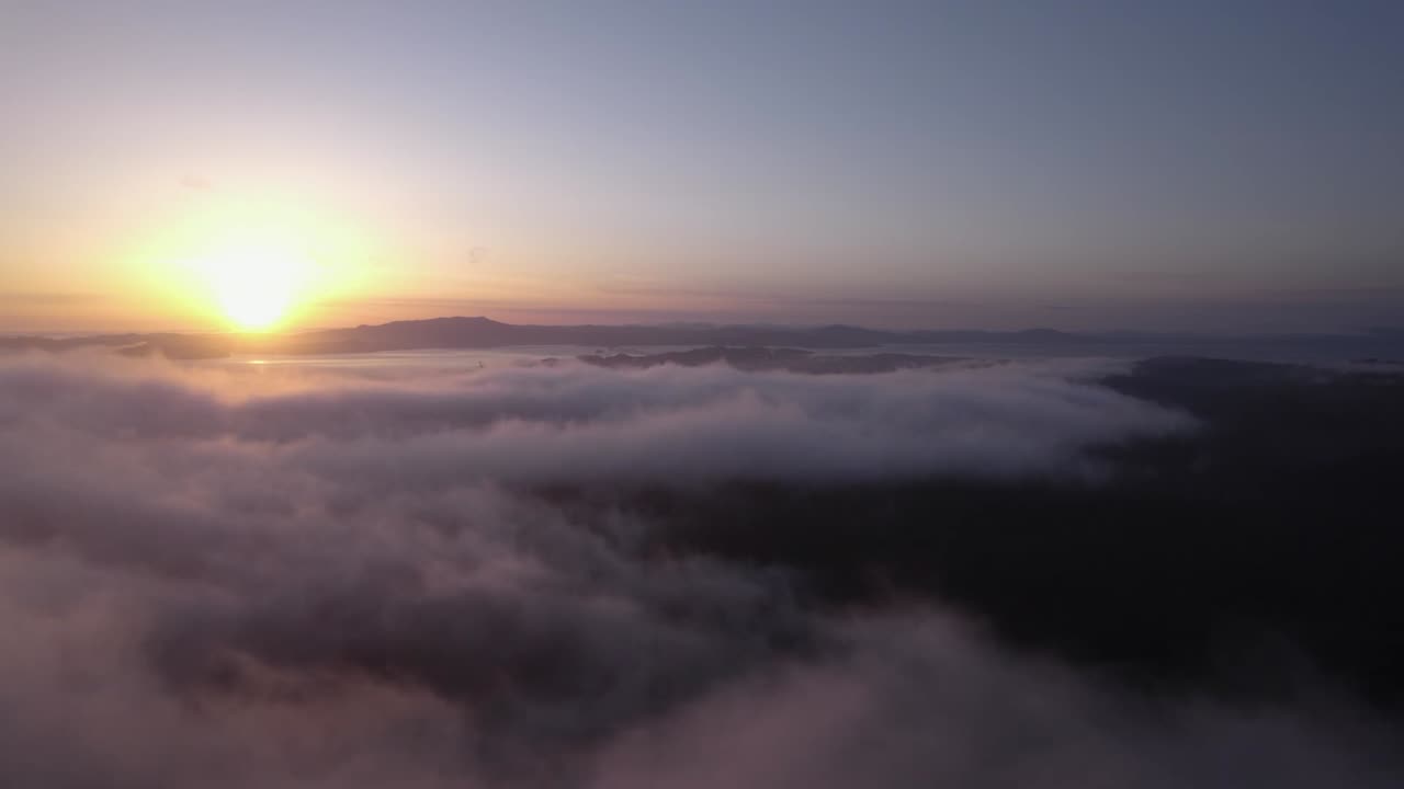 4k Berkeley Cinematic Drone Footage - Into the Mist - Sunrise & Sunset